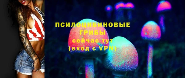 МДПВ Волоколамск