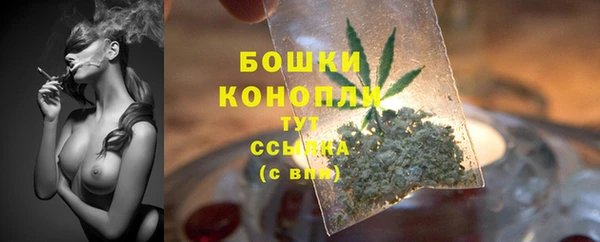 МДПВ Волоколамск