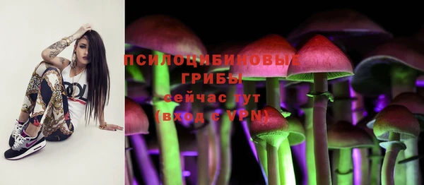 круглые Верея