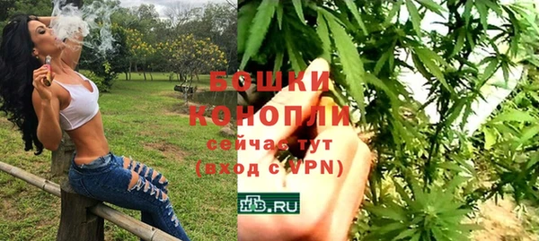 МДПВ Волоколамск