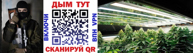 Купить где  Лысково  МАРИХУАНА THC 21% 